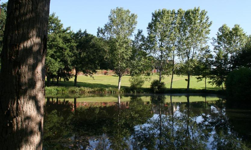 Domaine De Vilotte Bed and Breakfast Ardenais Exterior foto