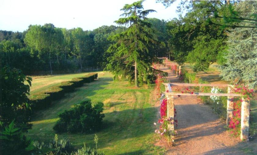 Domaine De Vilotte Bed and Breakfast Ardenais Exterior foto